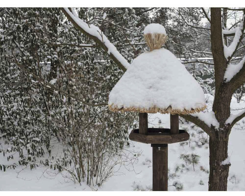 Vogelhaus mit Schnee im winterlichen Garten