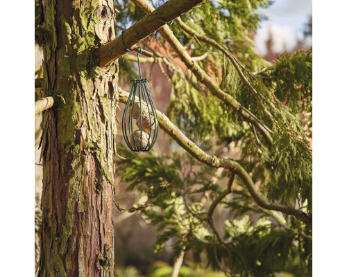 Vogelhaus mit Futterknödeln hängt an einem Baum