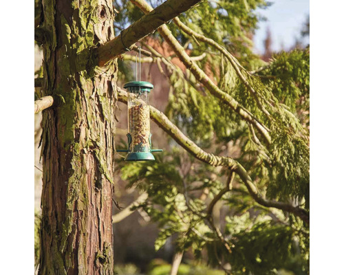 Vogelhaus mit Futter hängt an einem Baum