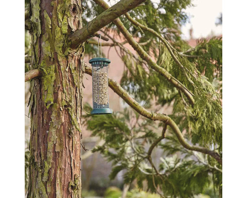 Vogelhaus mit Futter hängt an einem Baum