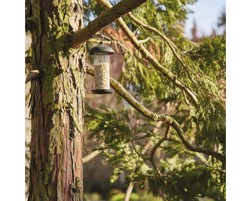 Vogelfutterspender mit Futter, aufgehängt an einem Baum