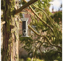 Vogelfutterspender aus Metall hängt an einem Baum.