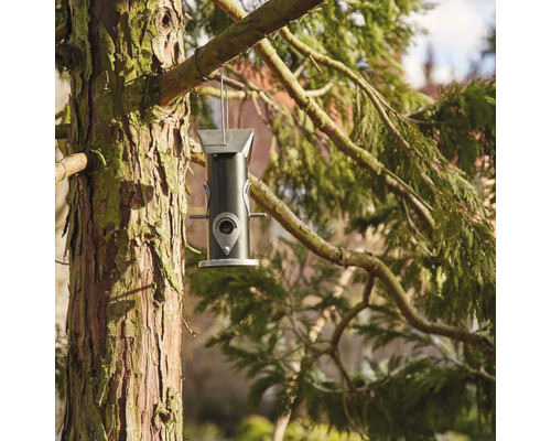 Vogelfutterspender aus Metall hängt an einem Baum.
