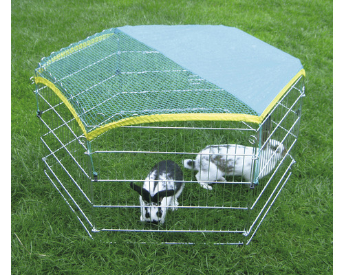 Kleintierauslauf mit Netzabdeckung und zwei Kaninchen