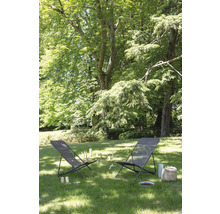 Zwei Gartenstühle auf einer Rasenfläche mit Bäumen im Hintergrund.