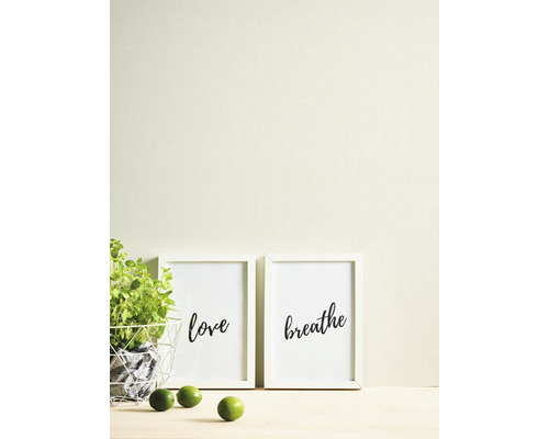 Dekorative Szene mit Pflanzen, Limetten und zwei gerahmten Postern mit den Aufschriften Liebe und Atmen