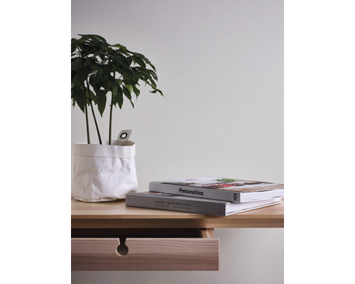 Dekoratives Zimmer mit Pflanze, Büchern und Holzschreibtisch