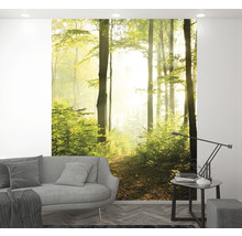 Wohnraum mit Fototapete, die einen Waldweg zeigt