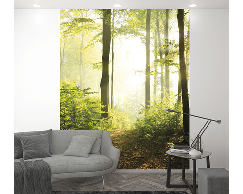 Wohnraum mit Fototapete, die einen Waldweg zeigt