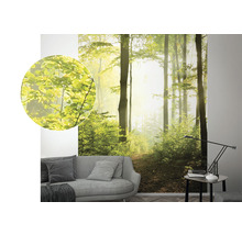 Wandbild mit Waldmotiv, gezeigt in einem Wohnraum über einem Sofa