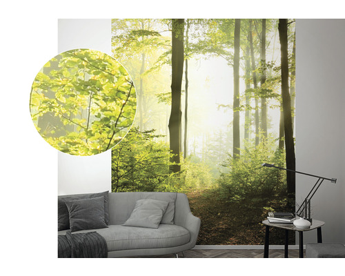 Wandbild mit Waldmotiv, gezeigt in einem Wohnraum über einem Sofa