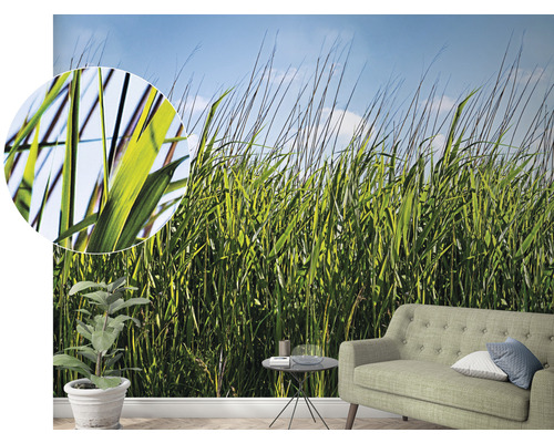 Fototapete mit Grasmotiv in einem Wohnzimmer
