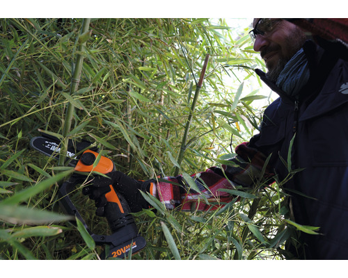 Mann schneidet Bambus mit einer Akku-Kettensäge im Garten