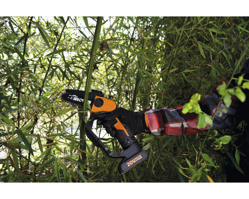 Akku-Kettensäge beim Schneiden von Bambus