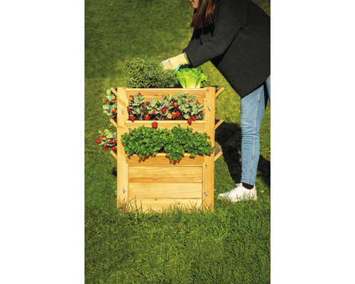 Hochbeet aus Holz mit Erdbeeren, Salat und Kräutern im Garten