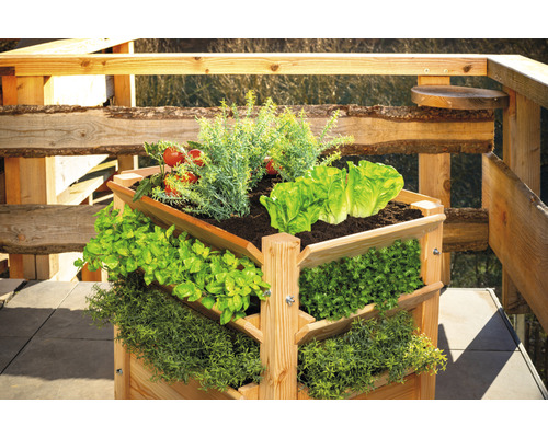Hochbeet aus Holz mit verschiedenen Gemüsesorten auf einer Terrasse