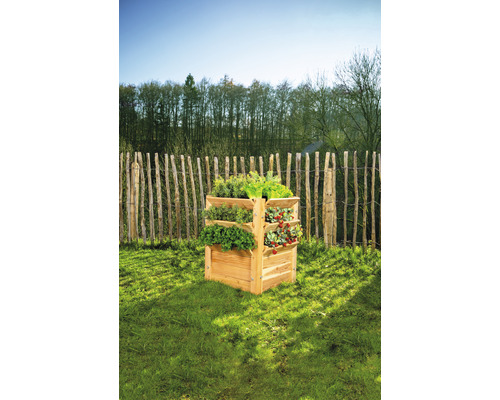 Hochbeet aus Holz mit Kräutern und Pflanzen im Garten.