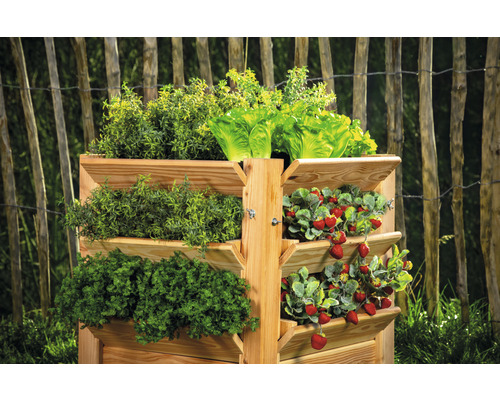 Hochbeet aus Holz mit Erdbeeren, Salat und Kräutern