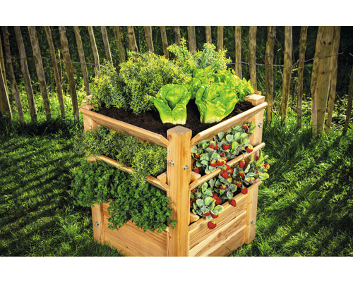 Mehrstöckiges, dreieckiges Kräuterbeet aus Holz mit Salat, Erdbeeren und Kräutern