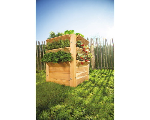 Hochbeet aus Holz mit verschiedenen Pflanzen im Garten