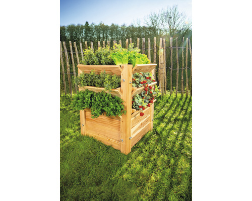 Hochbeet aus Holz mit Kräutern und Erdbeeren im Garten