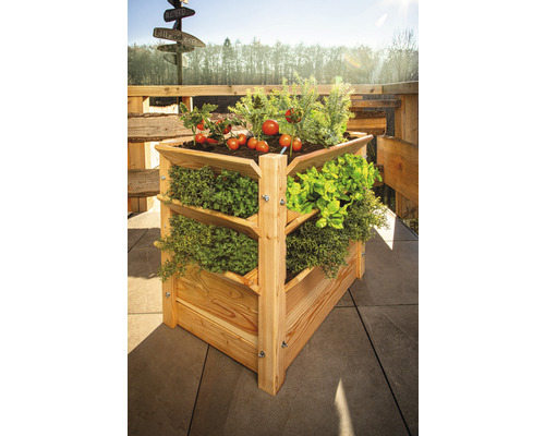 Hochbeet aus Holz mit Kräutern und Tomaten auf einer Terrasse