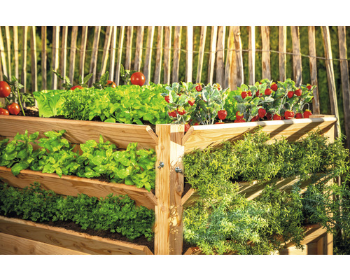 Hochbeet mit Salat, Tomaten, Erdbeeren und Kräutern