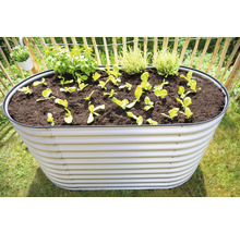 Ovales Hochbeet aus Metall bepflanzt mit Salat und Kräutern im Garten.