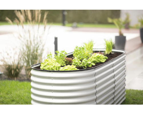 Hochbeet aus Metall mit Salat und Kräutern im Garten