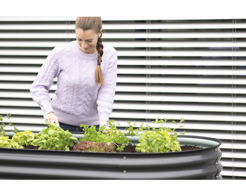 Frau arbeitet im Gartenbeet mit Salat und Kräutern.