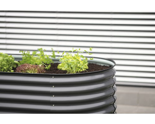 Hochbeet aus Metall mit Salat, Kräutern und Erde