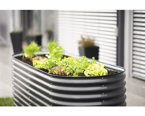 Hochbeet aus Metall mit Salatpflanzen