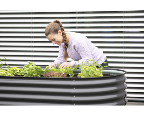 Frau bepflanzt ein Hochbeet mit Salat und Kräutern.