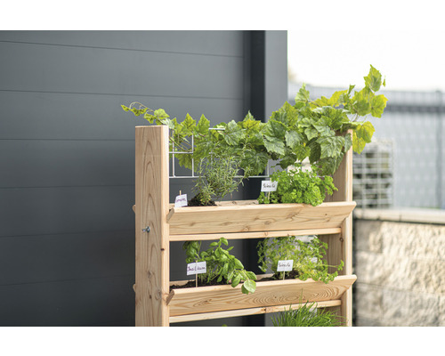 Hochbeet aus Holz mit Kräutern und Pflanzen für den Garten oder Balkon