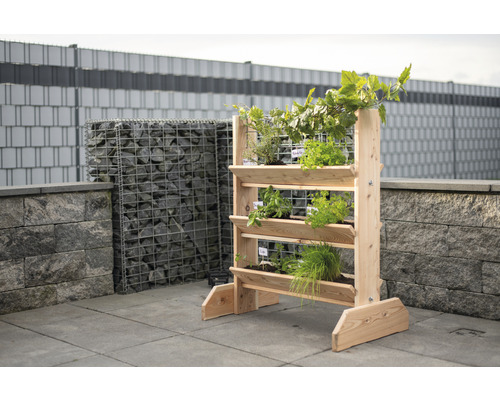 Hochbeet aus Holz mit verschiedenen Kräutern im Garten