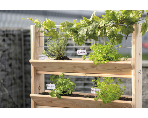 Hochbeet aus Holz mit Kräutern wie Basilikum, Petersilie und Rosmarin