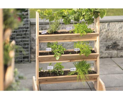 Hochbeet aus Holz mit Kräutern und Pflanzen