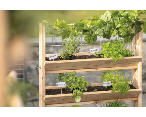 Hochbeet aus Holz mit Kräutern wie Basilikum, Petersilie und Rosmarin