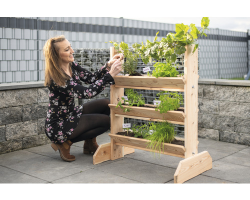 Hochbeet aus Holz mit verschiedenen Kräutern und Pflanzen