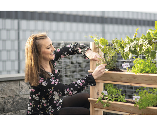 Frau pflegt Kräuter in einem hölzernen Kräuterregal für den Garten