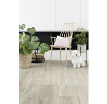 Helles Zimmer mit Holzboden, Stuhl und Zimmerpflanzen
