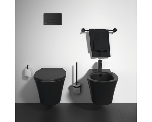 Badezimmer mit Toilette, Bidet, Toilettenbürste, Handtuchhalter und Betätigungsplatte