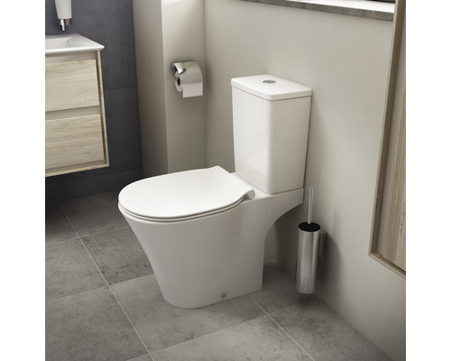 Weißes Stand-WC mit Spülkasten und Toilettenbürste in einem Badezimmer