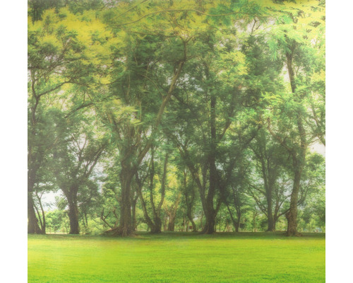 Dekorativer Wald als Hintergrund für verschiedene Anwendungen