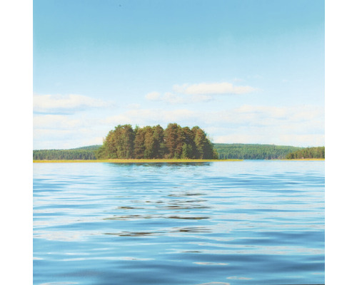 Landschaft mit See und bewaldeter Insel