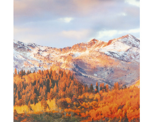 Landschaft mit Bergen, Schnee und Bäumen