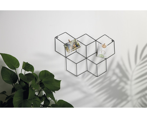 Dekorative Wanddekoration mit Fotos und Pflanzen