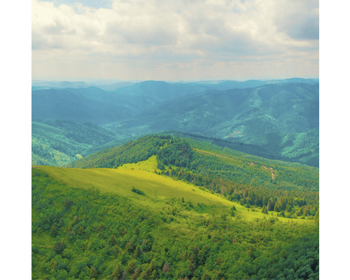 Panoramaaufnahme einer hügeligen Landschaft mit Wäldern und Wiesen unter bewölktem Himmel