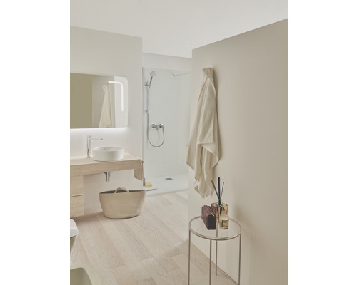 Helles Badezimmer mit Dusche, Waschbecken, Spiegel und Dekoration