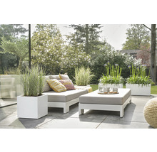 Szene mit Gartengarnitur, bestehend aus Sofa, Hocker und Pflanzenkübeln auf einer Terrasse